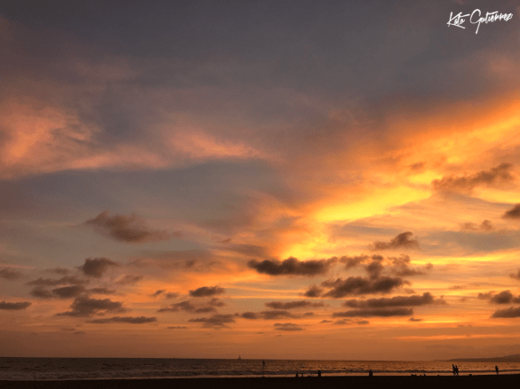 Screen Shot 2019-06-22 at 7.33.27 PM.png